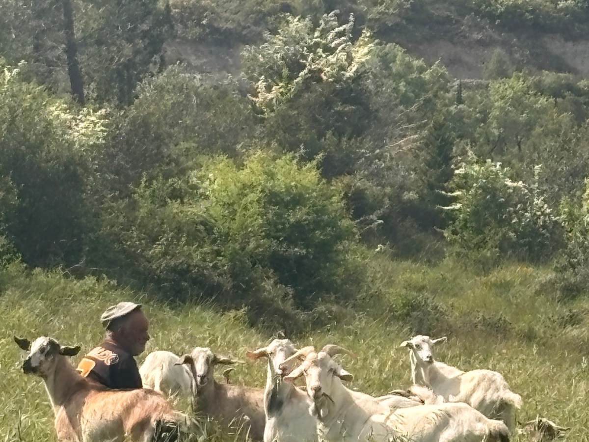 “Running up that Hill“ 🎵 – Kate&nbsp;Bush