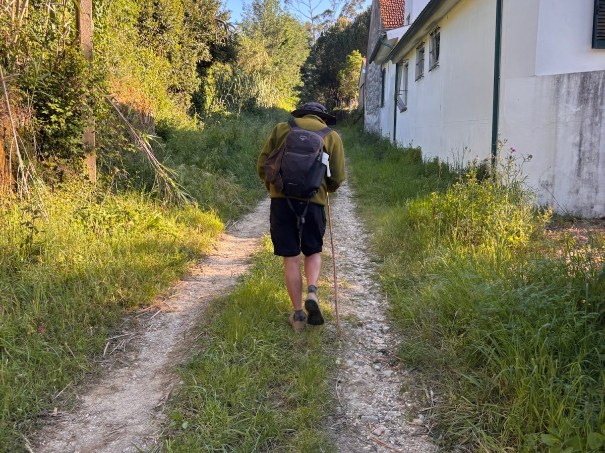 “The Long and Winding Road” 🎵 – The&nbsp;Beatles