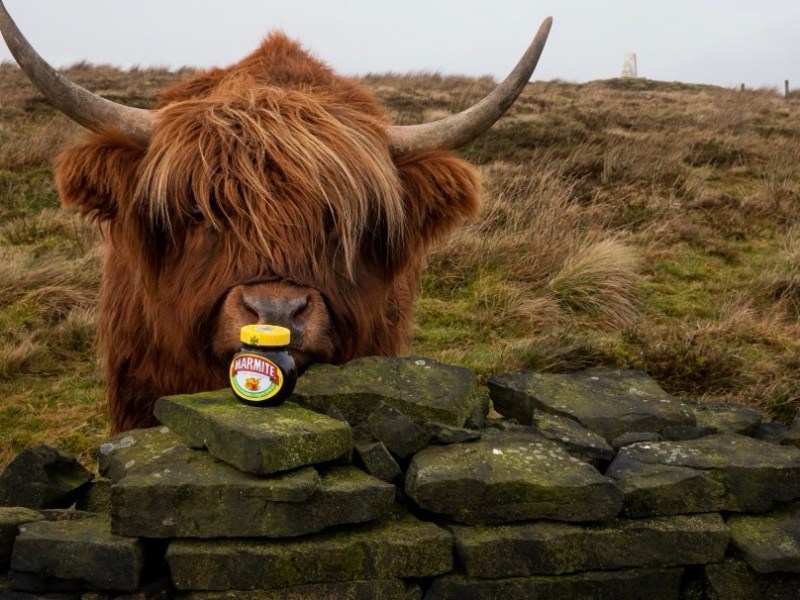 A Gritty Ramble up the Ryburn Valley and round&nbsp;Ripponden